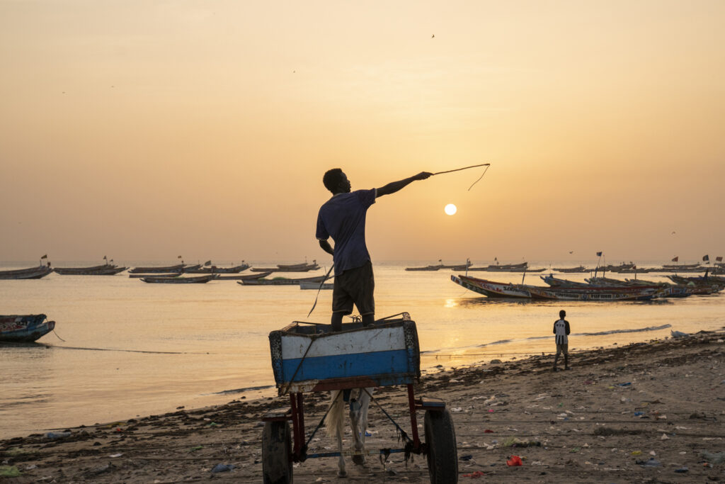 thomas beauduin wide open senegal web 042